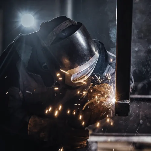 d2